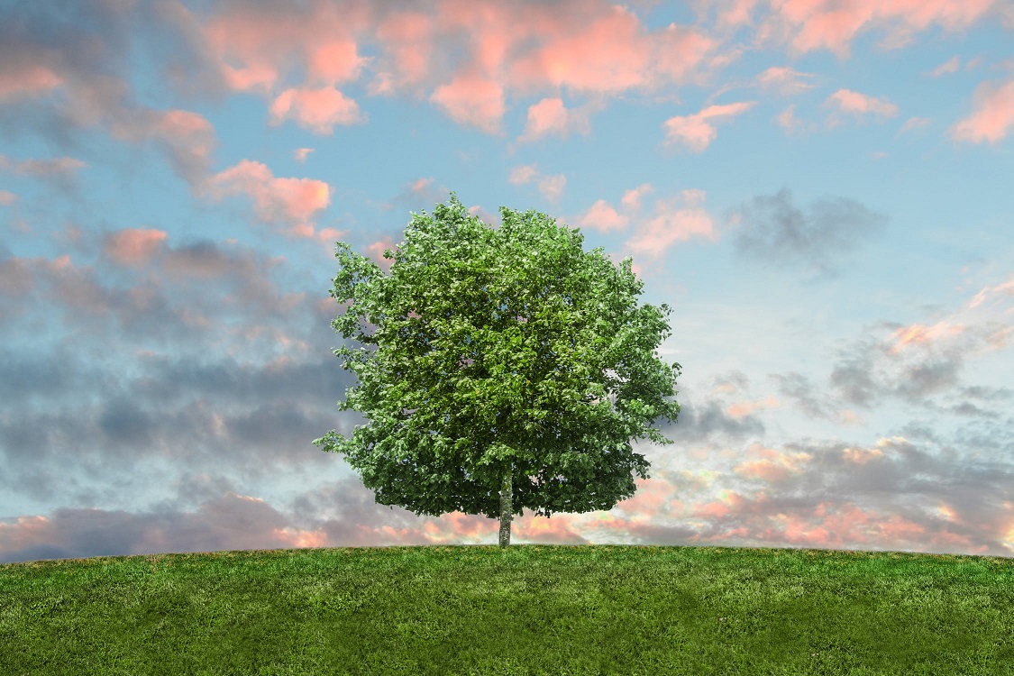 Environment Environment